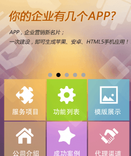 APP開發(fā)