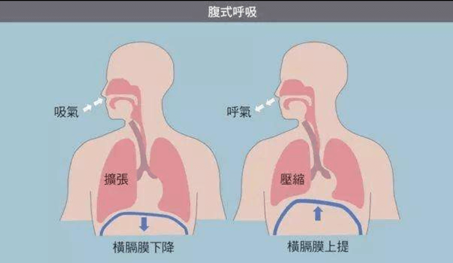 運(yùn)動(dòng)健身APP開發(fā)公司哪家好？